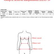 Кофта жіноча американка 25243-4 - Кофта жіноча американка 25243-4