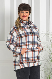 Худи  Alenka Plus 16020