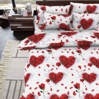 Двуспальный комплект постельного белья PB 9001-7