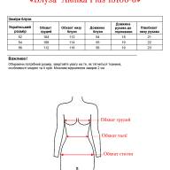 Блуза  Alenka Plus 15106-8 - Блуза  Alenka Plus 15106-8