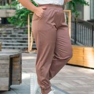 Брюки Alenka Plus 1738-3 - Брюки Alenka Plus 1738-3